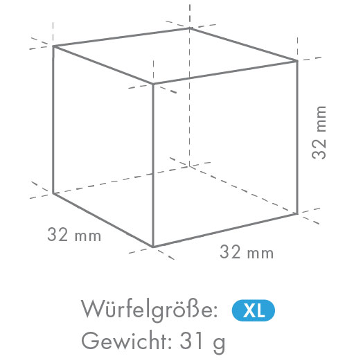 Hoshizaki IM-240DNE-HC-32 (XL cubes)